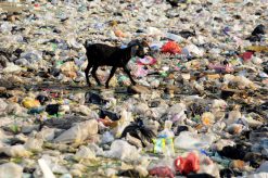 gettyimages-1165867488