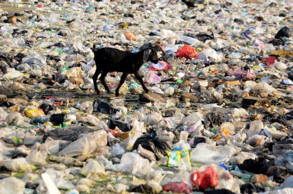 gettyimages-1165867488