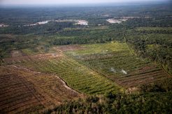 gettyimages-599178010