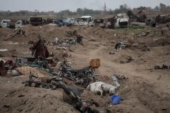 gettyimages-1137992013