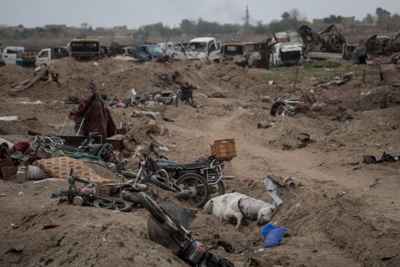 gettyimages-1137992013