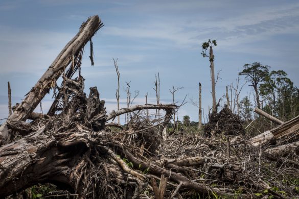 gettyimages-623247614