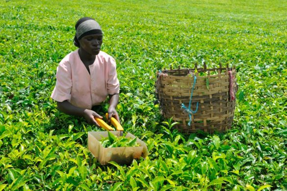 gettyimages-1041976746