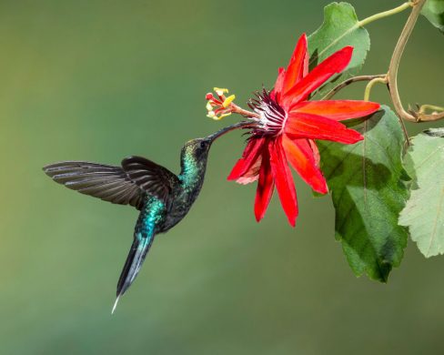 gettyimages-1277751030