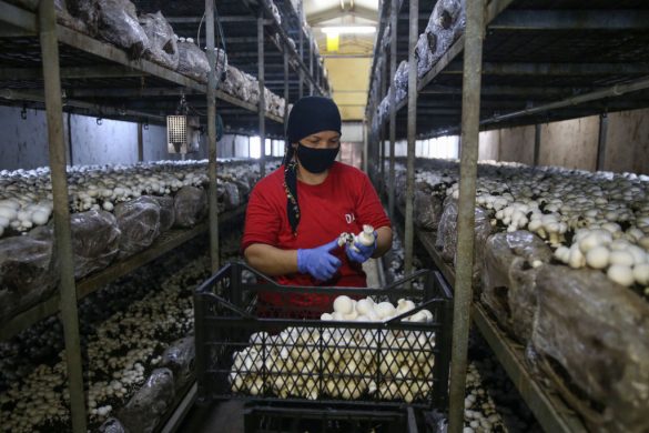 gettyimages-1228905697