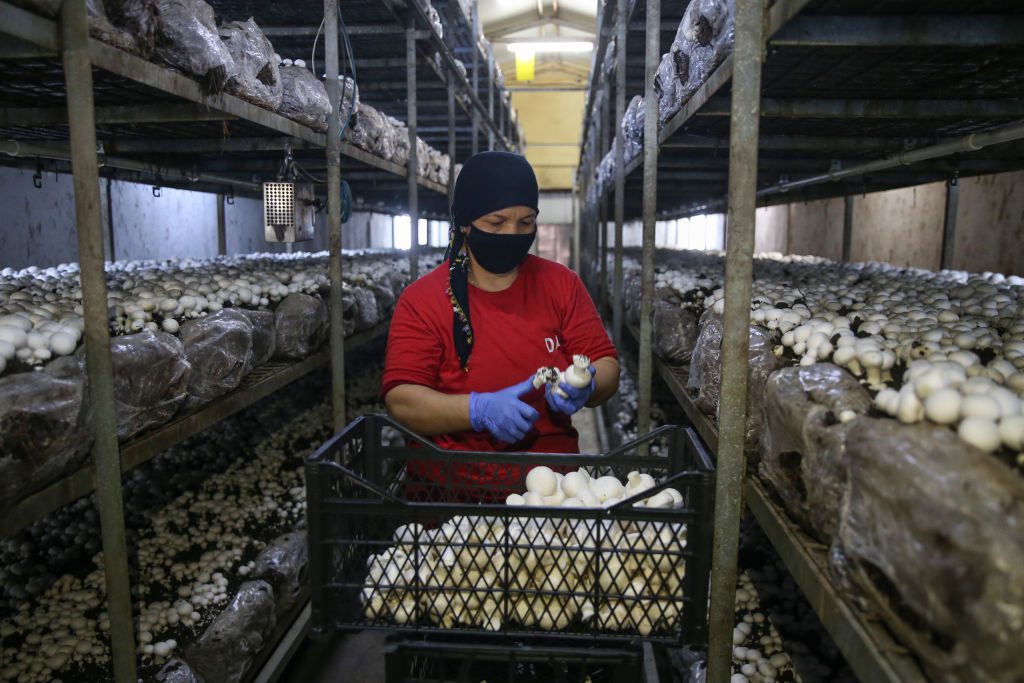 gettyimages-1228905697