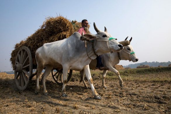 gettyimages-1186723720