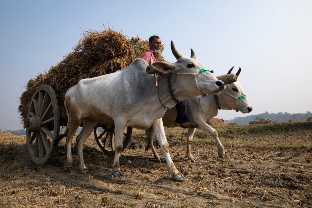 gettyimages-1186723720