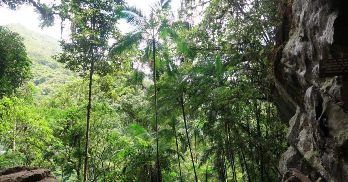 img_0747-cropped-resized