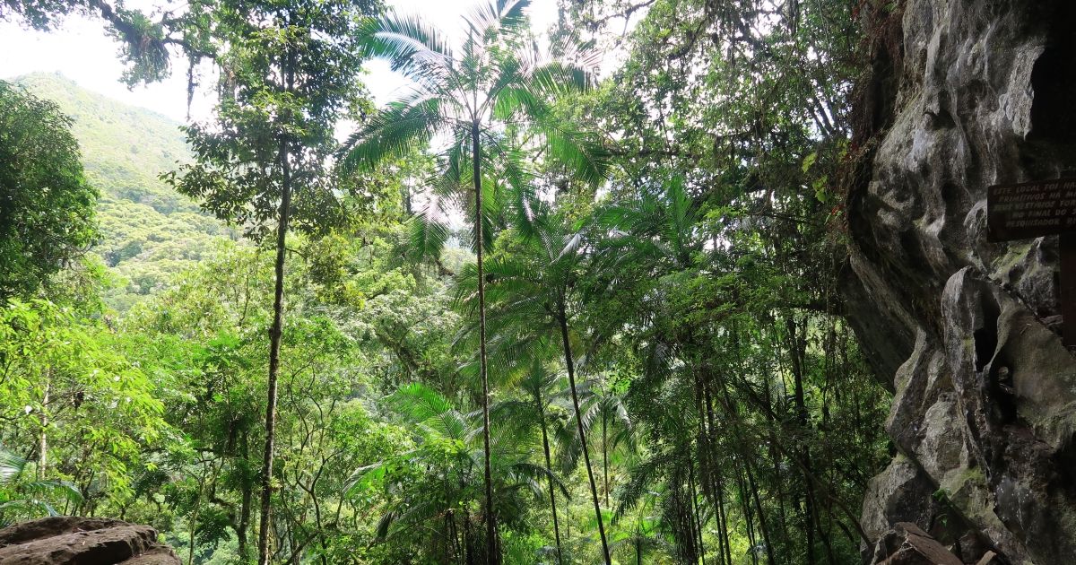 img_0747-cropped-resized