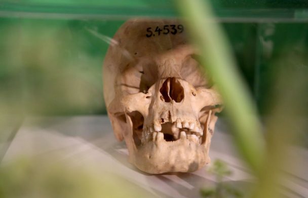 gettyimages-1024992770