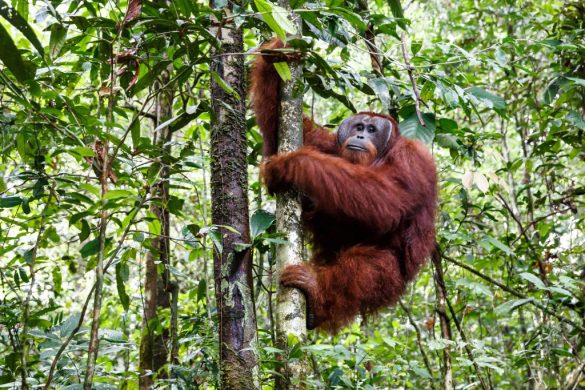 gettyimages-1202784987