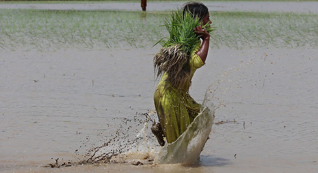 gettyimages-477314220