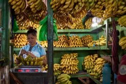 gettyimages-1208218200