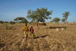 gettyimages-1204233125