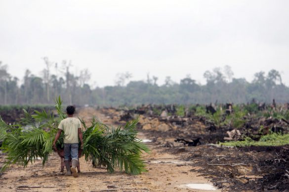 gettyimages-78102803