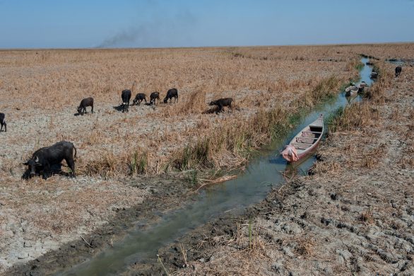 gettyimages-1071835434