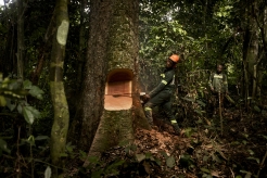 Foto: Anders Rye Skjoldjensen