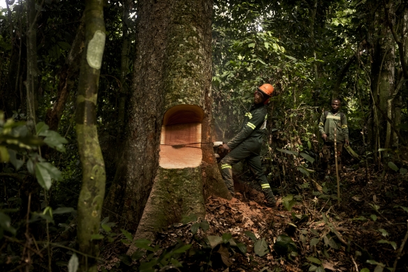 Foto: Anders Rye Skjoldjensen